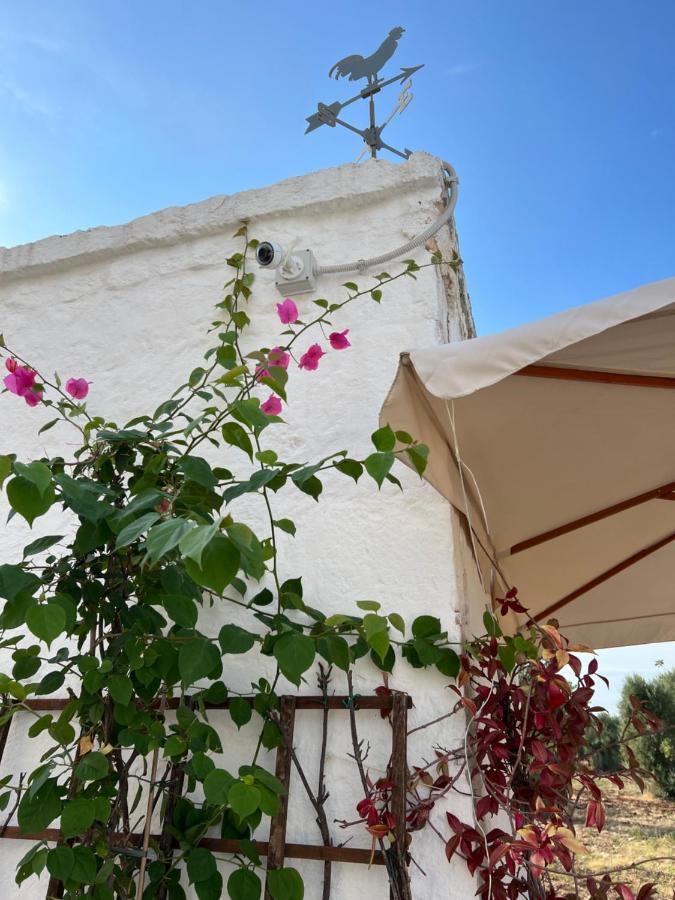 La Guendalina Masseria E Casa Particular Bed & Breakfast Monopoli Exterior photo